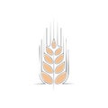 Stylized ear of wheat with a simple line art design and subtle orange fill Royalty Free Stock Photo