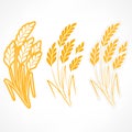 Stylized ears of wheat