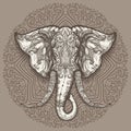 Hand Drawn Elephant Head on Mandala Background Royalty Free Stock Photo