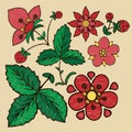 Stylized embroidery of flowers, berries and strawberry leaves