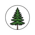 A stylized evergreen tree, resembling a pine or fir, centered Royalty Free Stock Photo