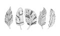 Stylized feathers set, black and white tribal, artistically drawn feathers, pattern for coloring page, tattoo design Royalty Free Stock Photo