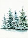 Stylized few firs in forest landscape on white. Hand drawn watercolors on paper textures