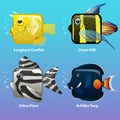 Stylized fish are square