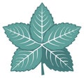 Stylized five-point mint leaf illustration in a green star shape with detailed white veins Royalty Free Stock Photo