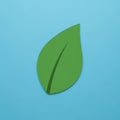 Leaf design is simple and graphic suggesting a paper cut out Royalty Free Stock Photo