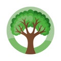 Stylized flat vector illustration of a tree with a green round frame around it. Royalty Free Stock Photo