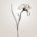 Minimalist Single Line Drawing Of Gladiolus On Gray Background