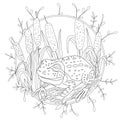 A stylized frog sits among the reeds. Sketch for adult anti-stress coloring Royalty Free Stock Photo