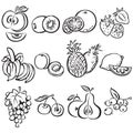 Stylized fruit set on a white background