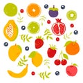 Stylized Fruits with Berries and Green Branches Vector Set