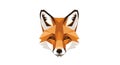 Stylized geometric illustration of a fox Royalty Free Stock Photo