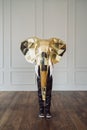 Stylized Golden elephant head on a white wall background