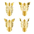 Stylized golden zebra isolated on a white background