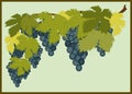 Stylized graphic image of a vine with grapes. Horizontal Pano.