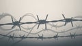 Barbed Wire Silhouette Background Royalty Free Stock Photo