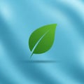 A stylized green leaf icon set against a smooth gradient blue background Royalty Free Stock Photo