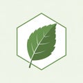 A stylized, green leaf illustration centered Royalty Free Stock Photo