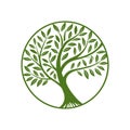 Stylized green tree of life in a circle emblem Royalty Free Stock Photo