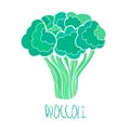 stylized hand drawn broccoli illustration Royalty Free Stock Photo