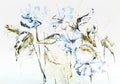 Stylized hand drawn watercolor Cichorium flowers in impressionis Royalty Free Stock Photo