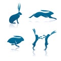 Hare Icon Cartoon Rabbit Vector Graphic Illustration Icon and Logo set