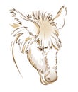 Stylized head of sad donkey. Digital drawing. Fantasy illustration. Printable sketch of farm animal. Modern print for fashionable