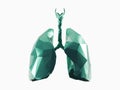 Stylized human low poly lungs Royalty Free Stock Photo