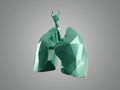 Stylized human low poly lungs Royalty Free Stock Photo