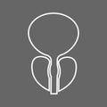 Stylized human prostate anatomy line icon.