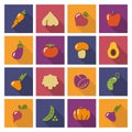 Stylized icons of vegetables.