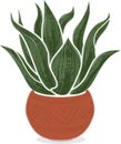 Stylized agave plant in Mexican terra-cotta pot