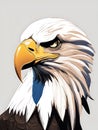 Bald Eagle illustration portrait Royalty Free Stock Photo