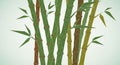 Stylized illustration of bamboo stalks featuring green and brown colors Royalty Free Stock Photo