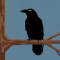Stylized illustration of a black raven Royalty Free Stock Photo