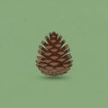 Stylized illustration of a brown pine cone against a light green background Royalty Free Stock Photo