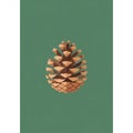 A stylized illustration of a brown pine cone is set against a solid Royalty Free Stock Photo