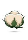 A stylized illustration of a cotton Royalty Free Stock Photo