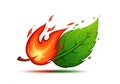 A stylized illustration features a combination of a fiery flame and a green leaf. The Royalty Free Stock Photo