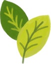 Stylized illustration featuring two overlapping leaves. Royalty Free Stock Photo