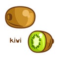 Stylized illustration of fresh kiwi on white