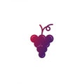 Stylized illustration of a grape cluster in gradient shades of purple and red. The desig Royalty Free Stock Photo