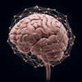 Lustration of a human brain highlighting intricate details of Royalty Free Stock Photo