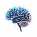 Abstract Brain Network Illustration Royalty Free Stock Photo