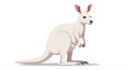 Stylized illustration of a kangaroo (Macropus) in a sitting position. The kangaroo has Royalty Free Stock Photo