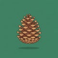 Illustration of a pine cone resembling species from the genus Royalty Free Stock Photo