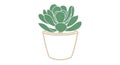 Stylized illustration of a potted succulent plant featuring simple solid Royalty Free Stock Photo