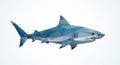 Is a plain light color emphasizing the shark s angular modern Royalty Free Stock Photo