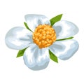 Stylized illustration of strawberry flower. Image for design or decoration.