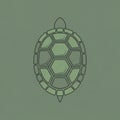 Stylized illustration of a turtle shell Royalty Free Stock Photo